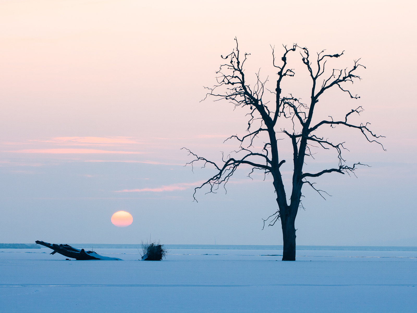 Východ slunce u mrtvého stromu, leden 2009