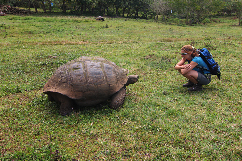 Galapágy - ostrov Santa Cruz - želví zahrada 2