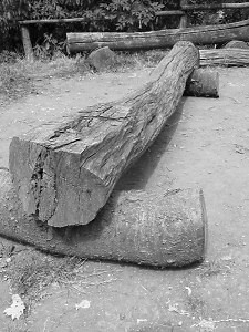 th_img_5978-base-bw.jpg, 27 kB